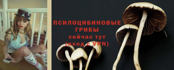 гидропоника Бугульма