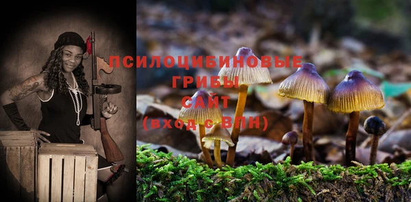 гидропоника Бугульма
