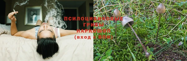 гидропоника Бугульма