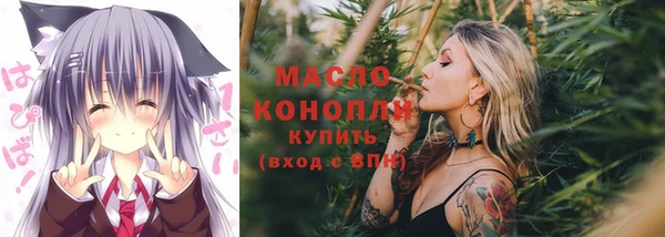 соль ск Бородино