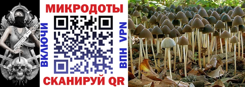 Галлюциногенные грибы мухоморы shop формула Новая Усмань как найти закладки